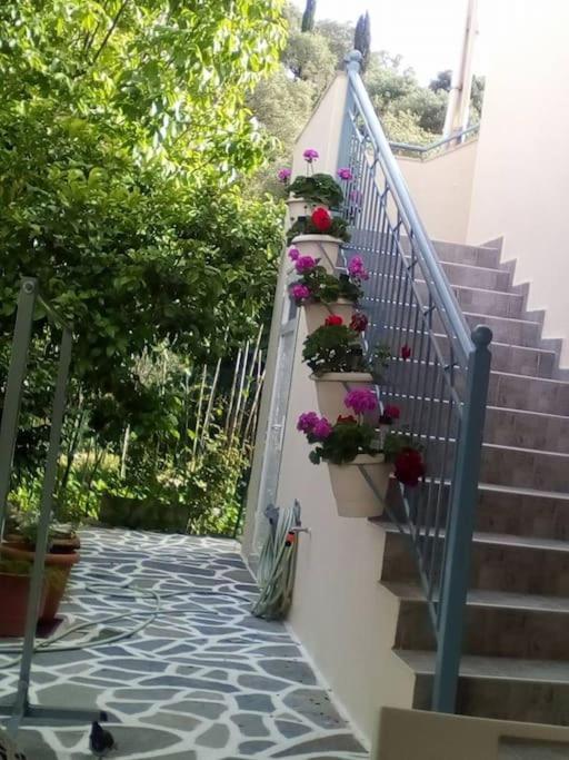 Elen'S House Apartment Sivota  Luaran gambar